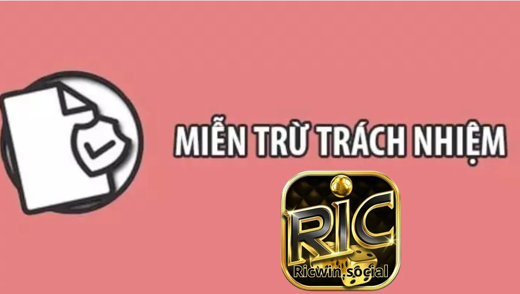 Tìm hiểu quy định miễn trừ trách nhiệm Ricwin