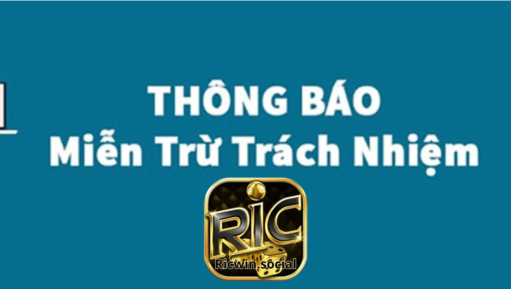 Quyền lợi và trách nhiệm của các thành viên Ricwin